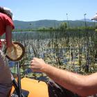 Promocija istraživanja vilinih konjica u okviru obilježavanja Dana parka prirode Hutovo blato Promocija istraživanja vilinih konjica u okviru obilježavanja Dana parka prirode Hutovo blato