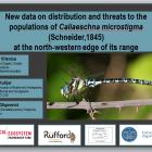 Rezultati projekta istraživanja distribucije vrste Caliaeschna microstigma u BiH, Crnoj Gori i Hrvatskoj predstavljeni na 3. Evropskom odonatološkom kongresu  Rezultati projekta istraživanja distribucije vrste Caliaeschna microstigma u BiH, Crnoj Gori i Hrvatskoj predstavljeni na 3. Evropskom odonatološkom kongresu