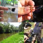 Fotografije sa V Balkanskog odonatološkog sastanka / Photos from the V Balkan Odonatological Meeting Fotografije sa V Balkanskog odonatološkog sastanka / Photos from the V Balkan Odonatological Meeting