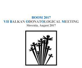 BOOM 2017 invitation slika