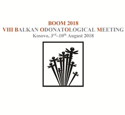 BOOM 2018 invitation1sm