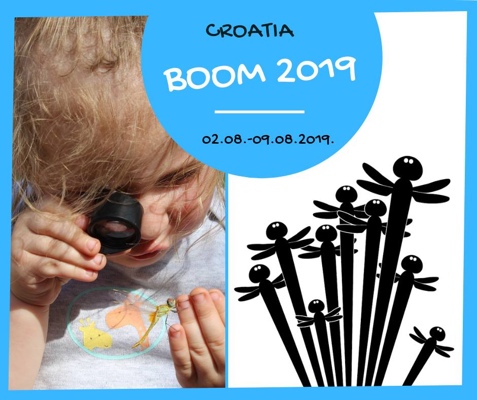 BOOM 2019 logo