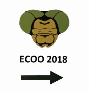 ECOO2018 damjan