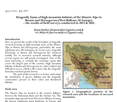 Kulijer Miljević 2017 Dinaric Alps Agrion