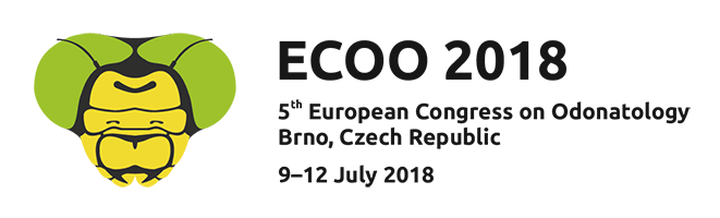 logo ecoo2018 1