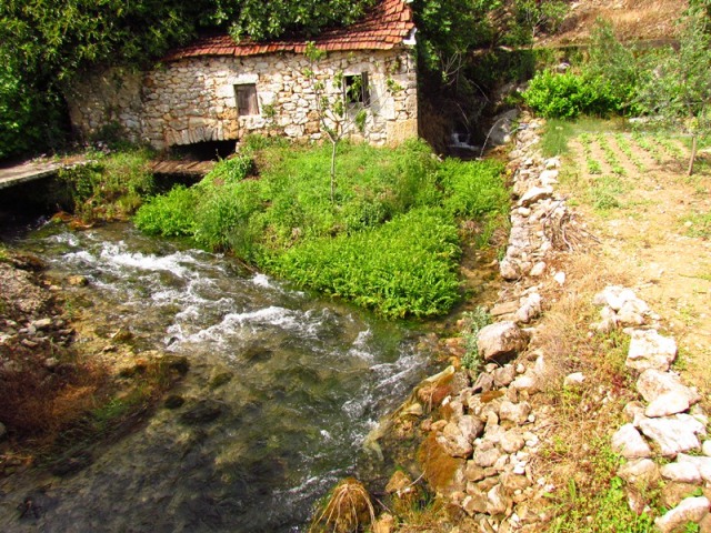 naslovna pr tekucice